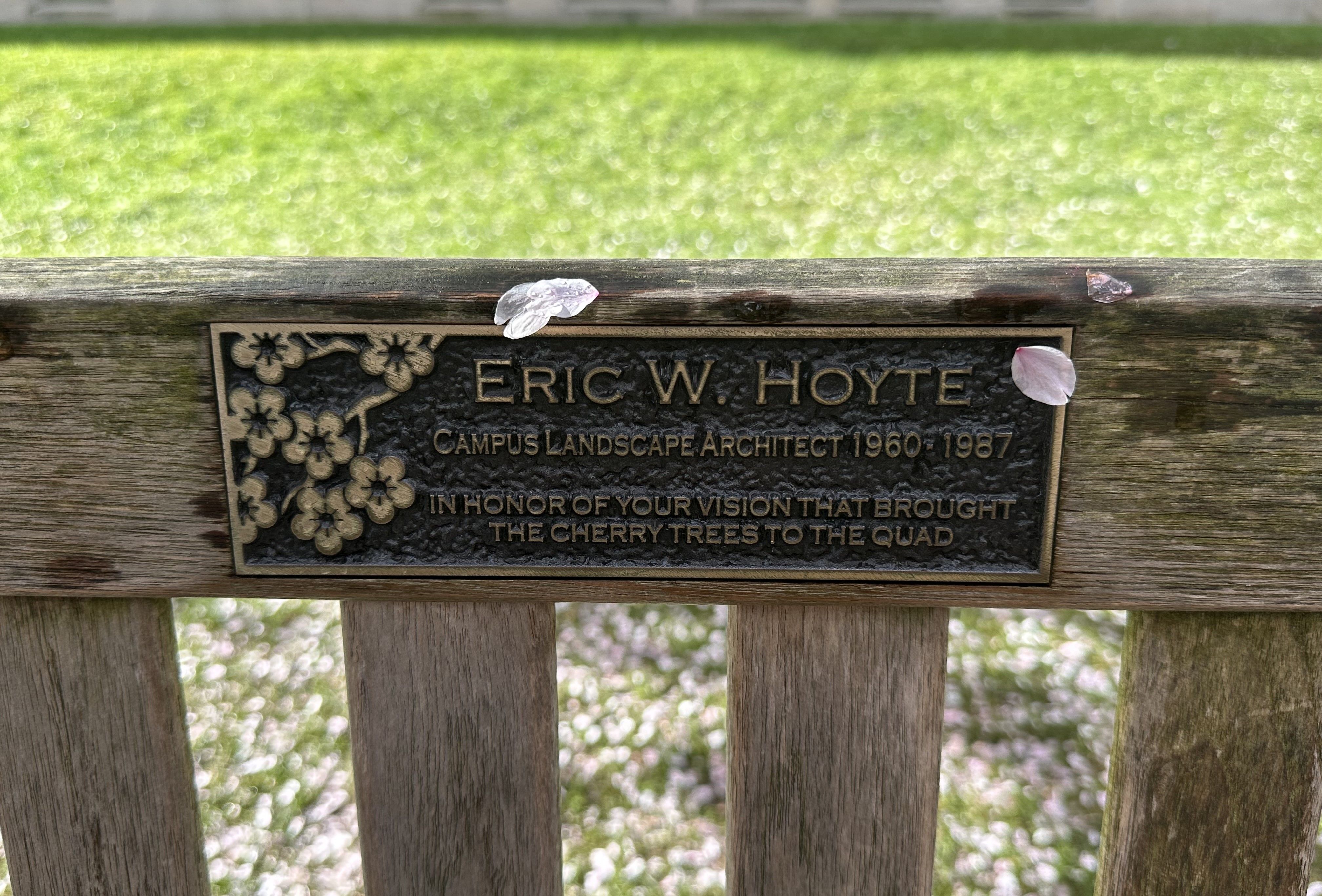 Eric Hoyte's Bench